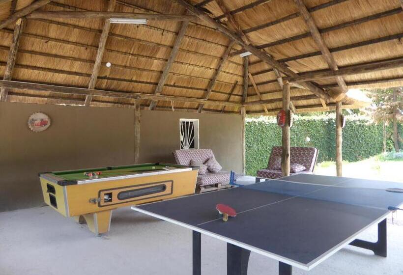 اتاق استاندارد, Natwange Backpackers