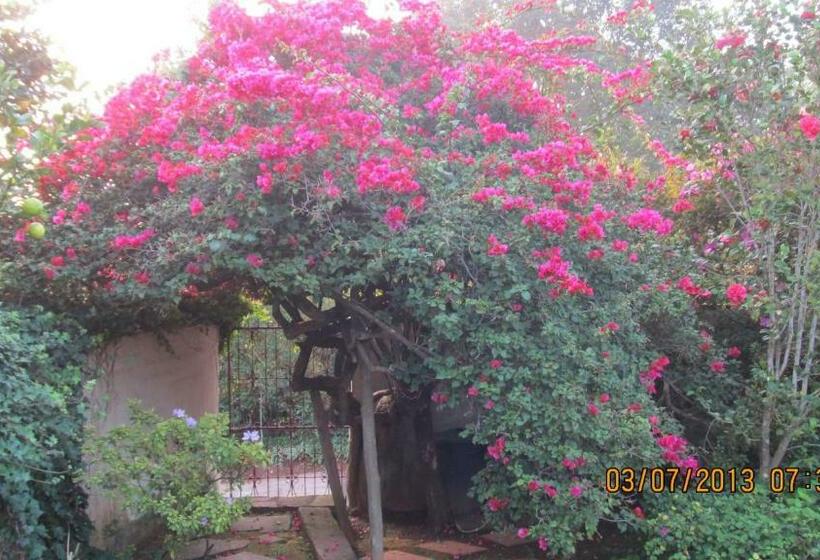 اتاق استاندارد, The Jays Guest House