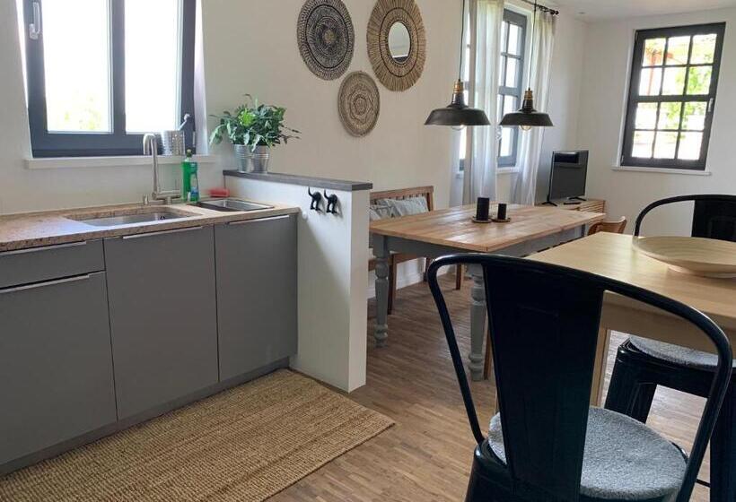 Апартаменты 1 Спальня с Террасой, Haus & Hof Guest House