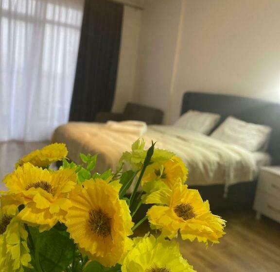 استودیوی سوپریور, Bianca Residential