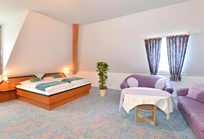 Номер Комфорт, Rhön Hotel Sonnenhof   Restaurant & Café