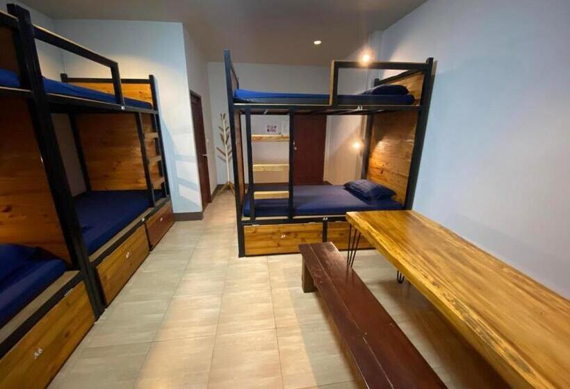 Кровать в Общей Комнате, Eq Hostel