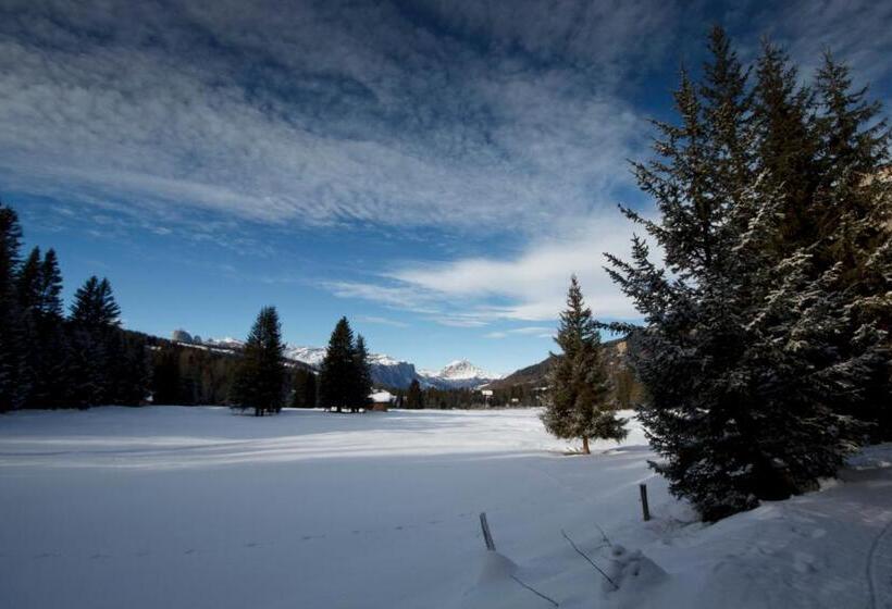 套房, Gran Paradiso