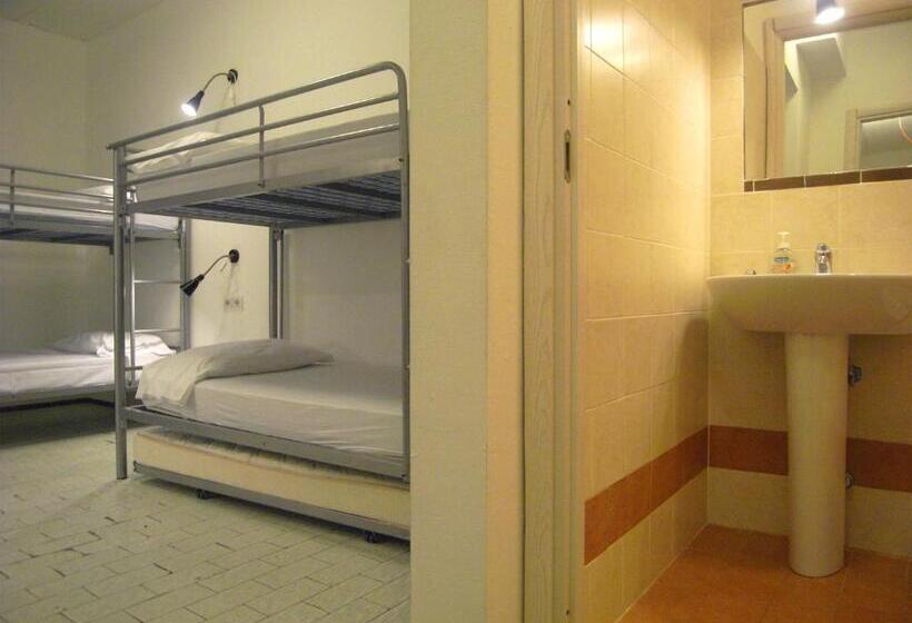 共用房间的床, Hostel Colours