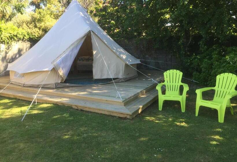 מיטה בחדר משותף, Te Anau Lakefront Backpackers