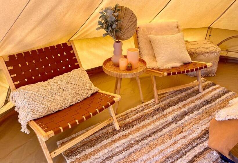 Standard Tent, Te Anau Lakefront Backpackers