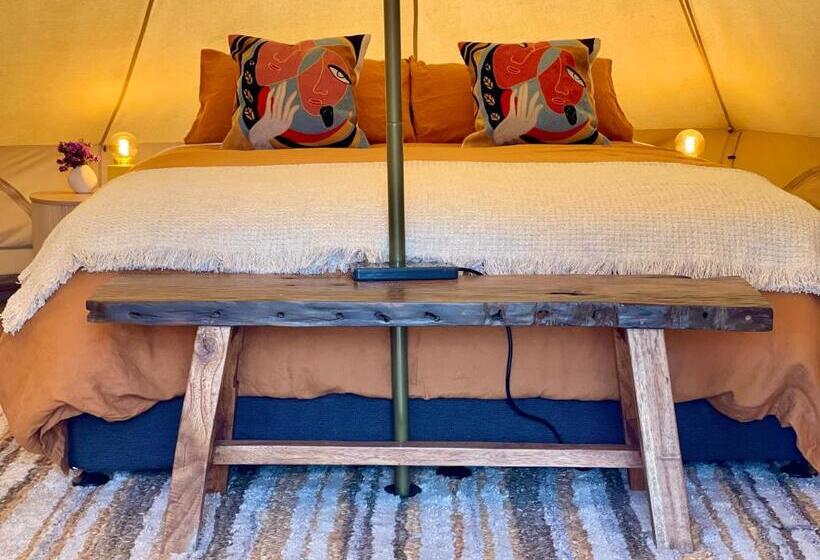 Standard Tent, Te Anau Lakefront Backpackers
