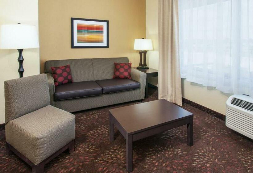 스탠다드 룸, Holiday Inn Express & Suites Sandusky, An Ihg