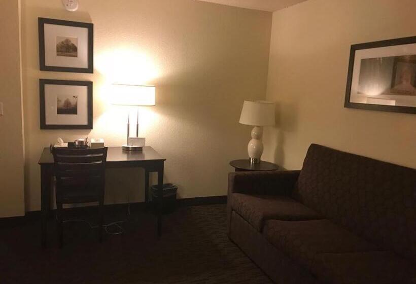 스위트 킹사이즈 침대, Americinn By Wyndham Hotel And Suites Long Lake