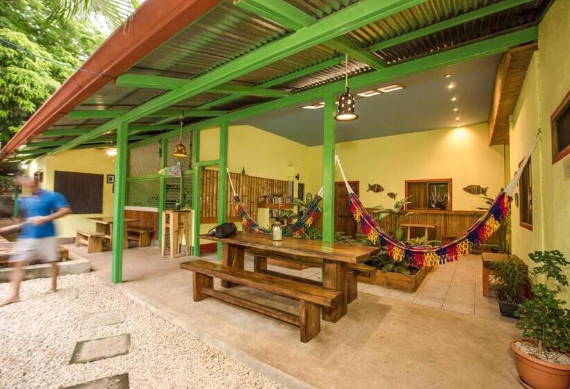 חדר בסיסי לשלושה, Indra Inn