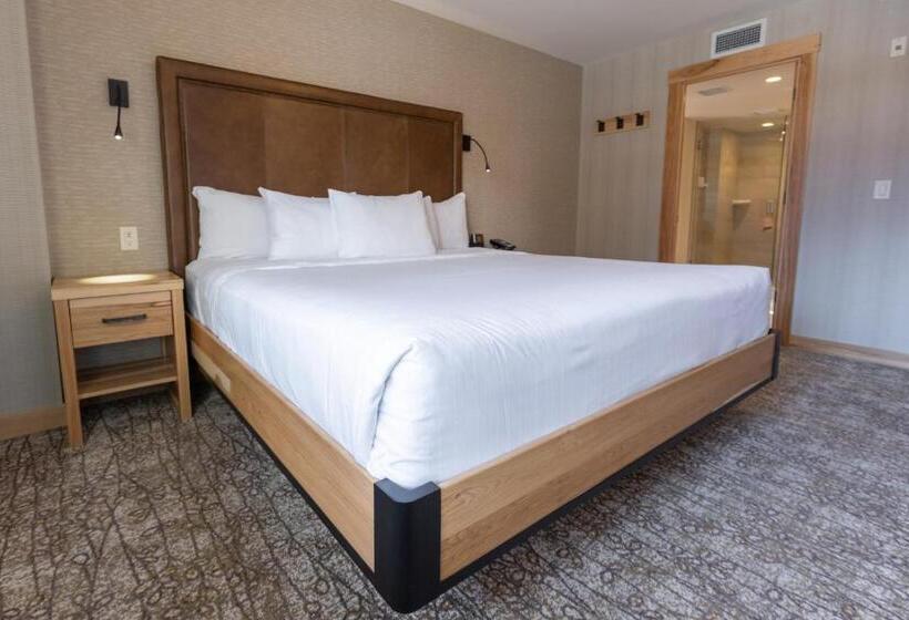 带大床的套房, Moose Hotel And Suites