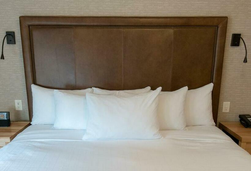 带大床的套房, Moose Hotel And Suites