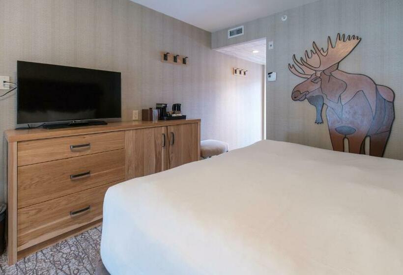 带大床的高级房间, Moose Hotel And Suites