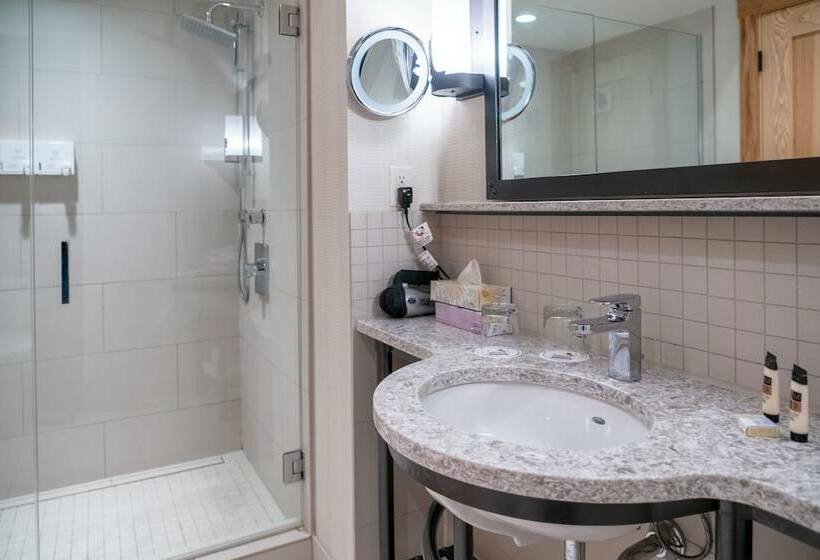 带2个卧室的套房, Moose Hotel And Suites