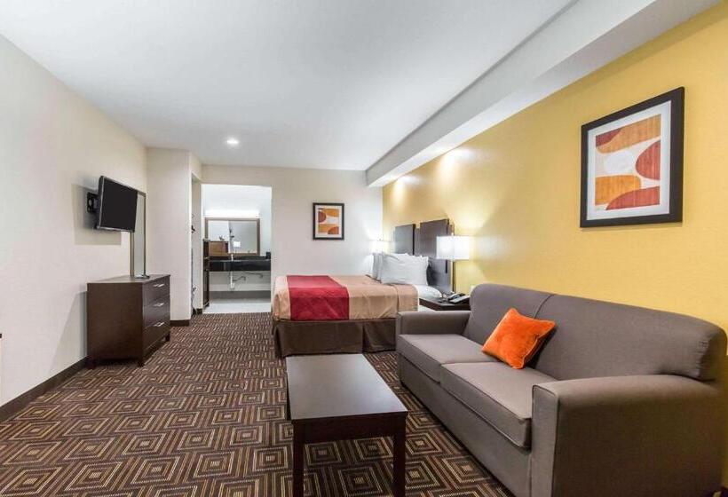 Номер Стандарт Кровать Кинг Адаптированный для Инвалидов, Scottish Inns & Suites Spring   Houston North