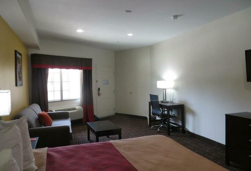 스탠다드 룸 킹사이즈 침대, Scottish Inns & Suites Spring   Houston North