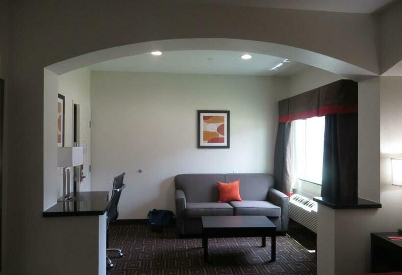 스탠다드 룸 킹사이즈 침대, Scottish Inns & Suites Spring   Houston North