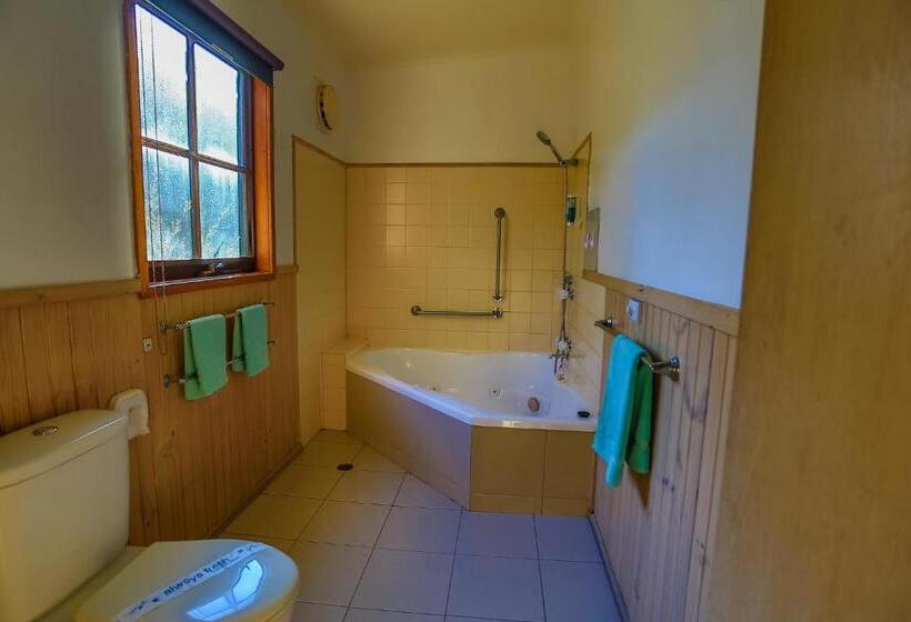 침실 1개 아파트, Mountain View Motor Inn & Holiday Lodges