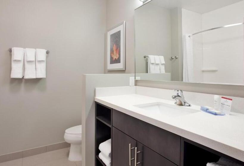 스탠다드 룸 킹사이즈 침대, Candlewood Suites Grand Island, An Ihg