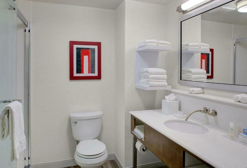 Студио Стандарт Кровать Кинг, Hampton Inn & Suites Columbus Scioto Downs