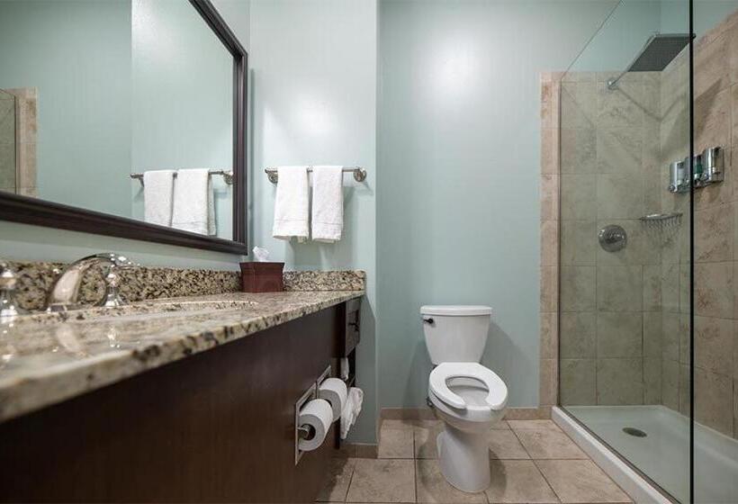 Номер Deluxe, Chateau Saint Denis A Historic Hotel Downtown Natchitoches