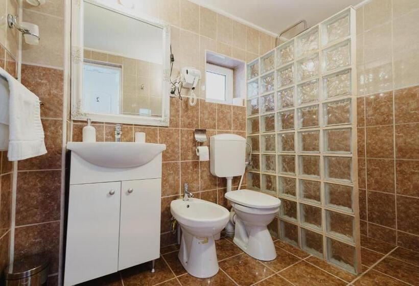 اتاق استاندارد, Casa Baronului