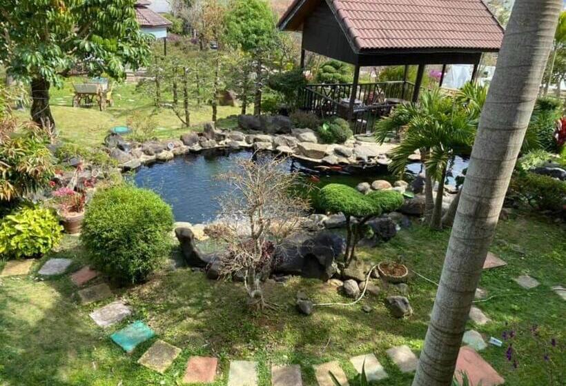 اتاق خانوادگی با چشم‌انداز باغ, Homestay Mai Anh đào