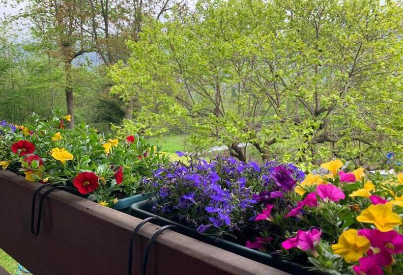 Номер Стандарт, Agriturismo Il Viandante