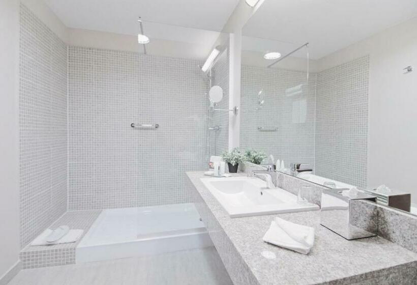 비즈니스룸, Ramada Plaza Craiova
