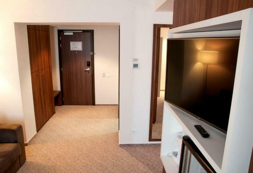 비즈니스룸, Ramada Plaza Craiova