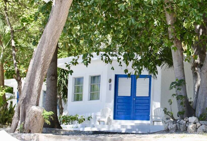 سوئیت پریمیوم با چشم‌انداز دریا, Kaliko Beach Club   All Inclusive Resort