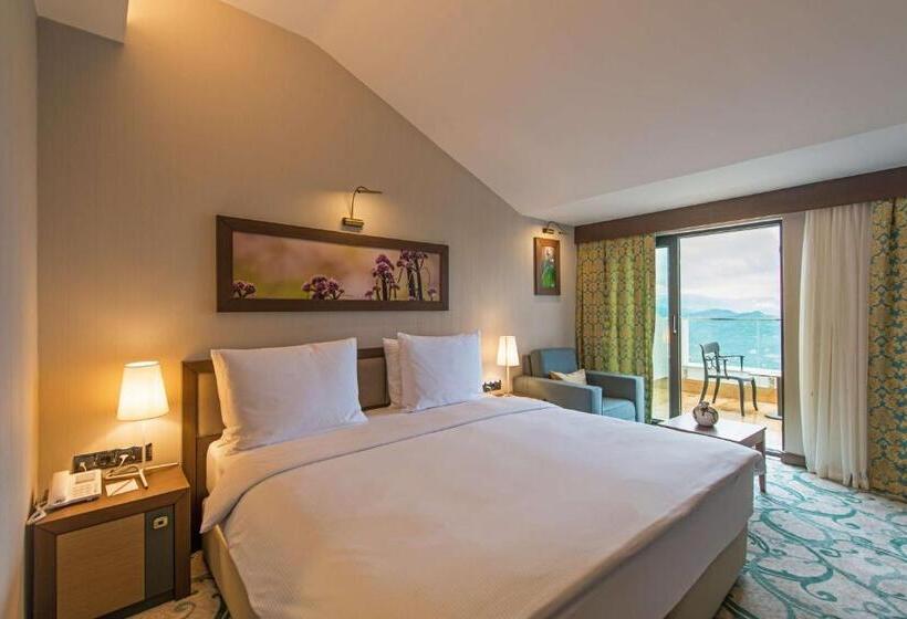 اتاق کلاس بیزنس, Radisson Blu Hotel, Ordu