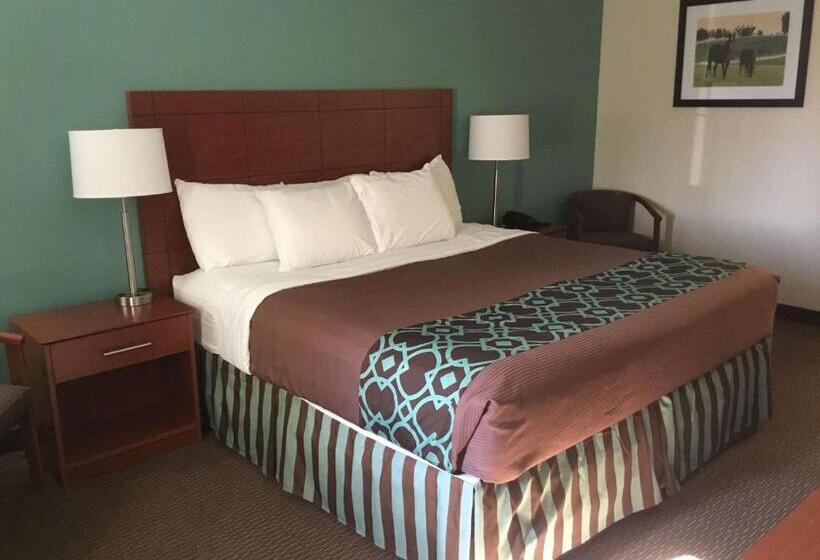 스탠다드 룸 킹사이즈 침대, Surestay Hotel By Best Western Bowling Green North