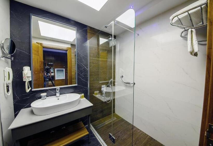 اتاق استاندارد برای معلولان, Ramada Plaza By Wyndham Samsun