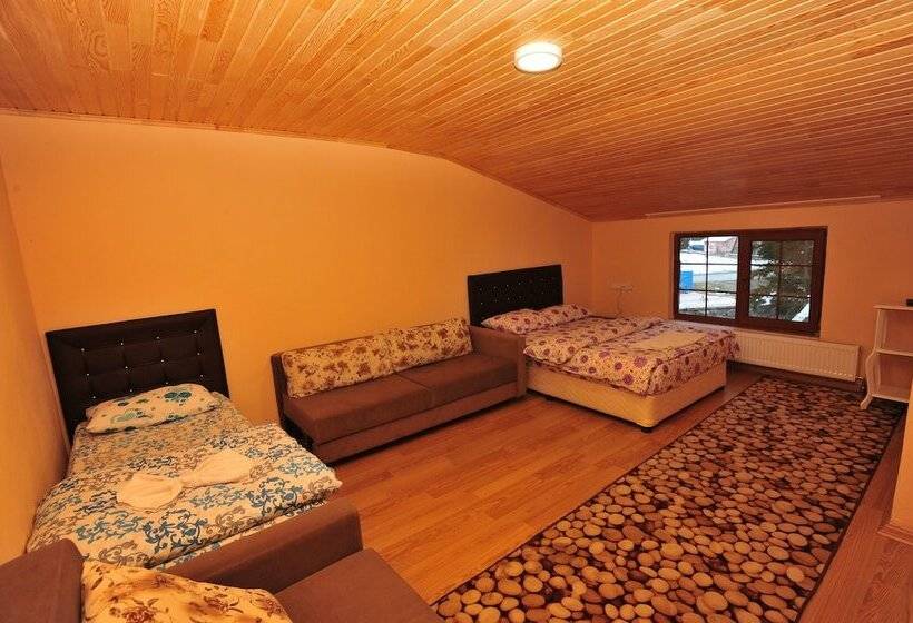חדר סטנדרט, Cam Motel