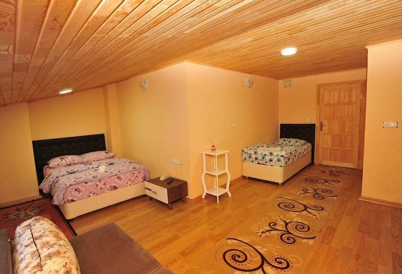 חדר סטנדרט לארבעה, Cam Motel