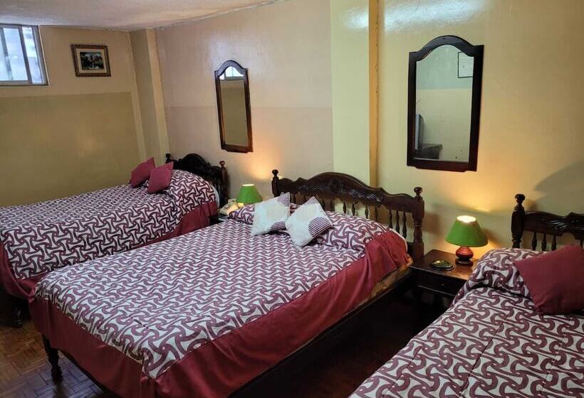 스탠다드 트리플 룸, Hostal Viena