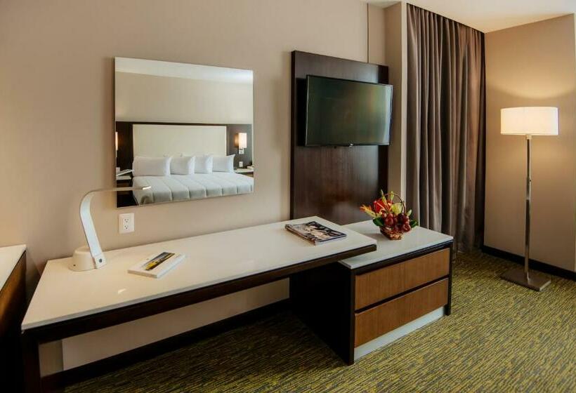 سوییت جونیور, Hilton Garden Inn Puebla Angelópolis, Mexico