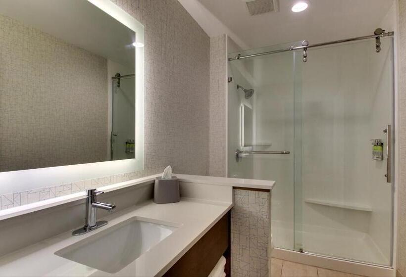 Стандартный Номер Кровать Кинг, Holiday Inn Express & Suites   Ithaca, An Ihg