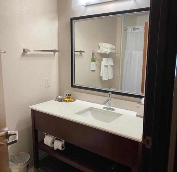 Люкс Кровать Кинг, Best Western Plus Spring Inn & Suites