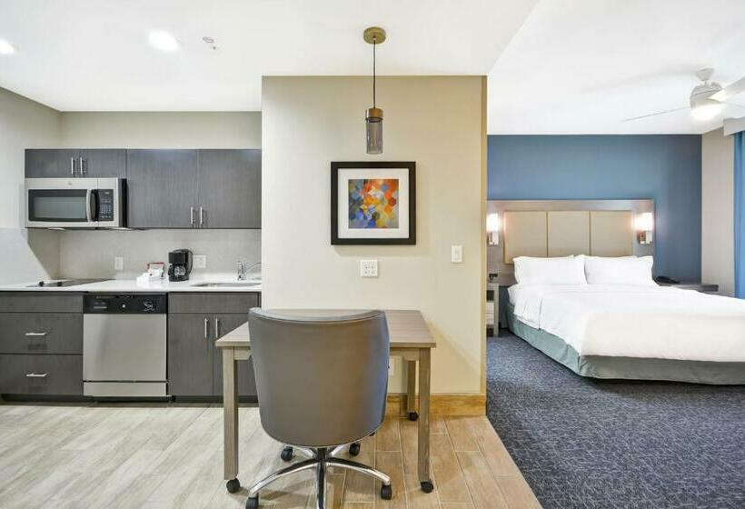带大床的套房, Homewood Suites By Hilton Orlando Theme Parks