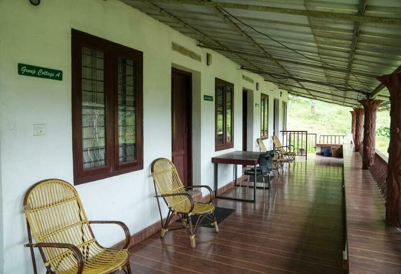 Четырехместный Номер Стандарт Вид на Сад, Punarjani Ayurvedic Resorts