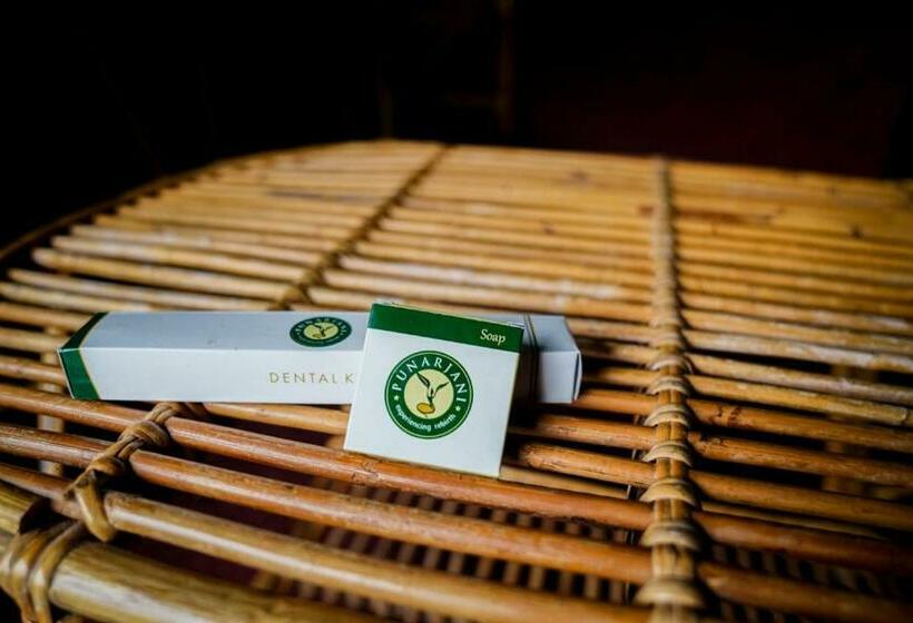 Дом 1 Спальня, Punarjani Ayurvedic Resorts