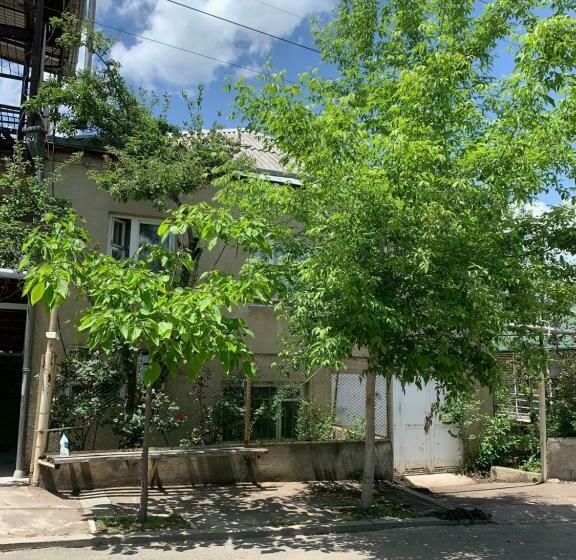 Номер Стандарт, Dendrobak Guesthouse