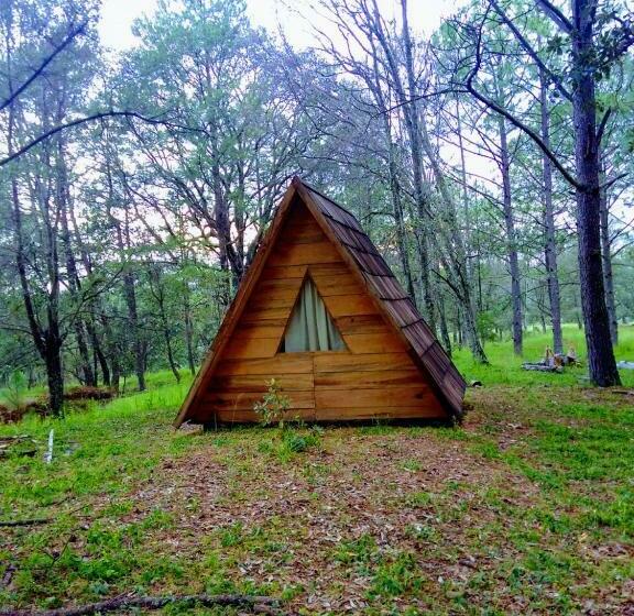 スタンダード４人部屋, Campamento Plan De Los álamos