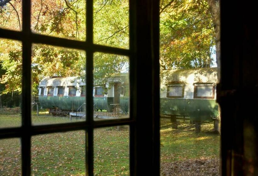 Люкс Superior, Los Vagones De Areco