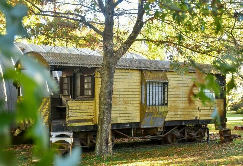 Люкс Superior, Los Vagones De Areco