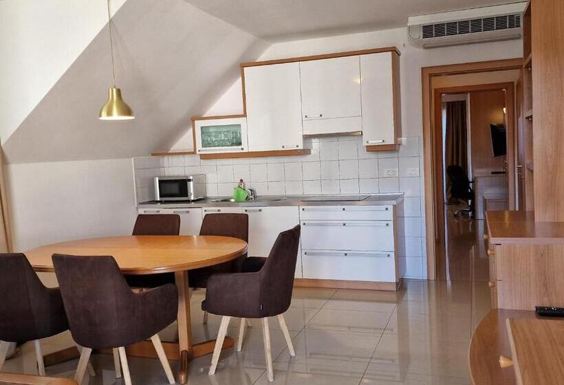 1 Bedroom Apartment Mountain View, Aparthotel Gaja