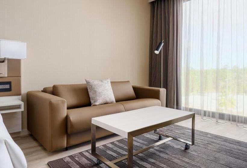 اتاق استاندارد با تخت دو نفره بزرگ, Ac Hotel By Marriott Jacksonville St Johns Town Center
