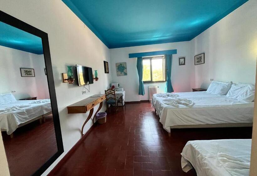 Номер Стандарт, Casa Santo António